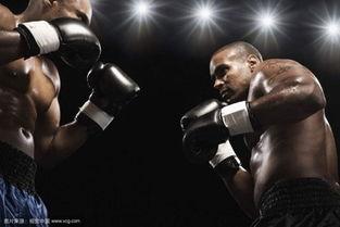 成人拳击沙包拳击视频教学